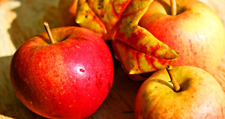 แอปเปิ้ล มักอยู่ในส่วนผสมของผลิตภัณฑ์บำรุงผิวใดบ้าง ?